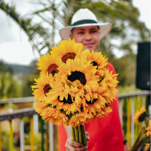tOUR DE fLORES